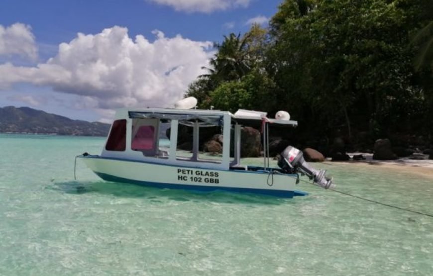 Private Ste Anne and Moyenne Island Reef Safari in our Glass-Bottom Boat