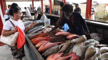 Seychelles Booking Company - Must try fish in Seychelles - Seychelles Travel Guides - SeyBooking.com