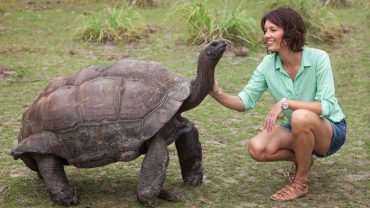 Seychelles Booking Company - ThSeychelles Giant Tortoise - Seychelles Travel Guides - SeyBooking.com