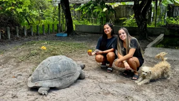 AliBel Beach Villa Seychelles Best Self Catering in Seychelles