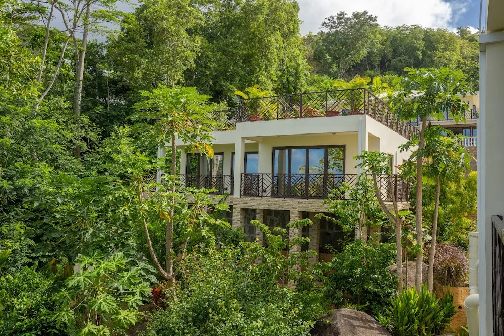 Bougainvillas, Mahé