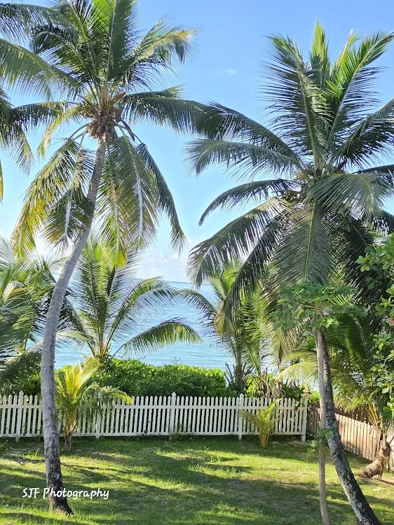 Shanaz Beachside Retreat