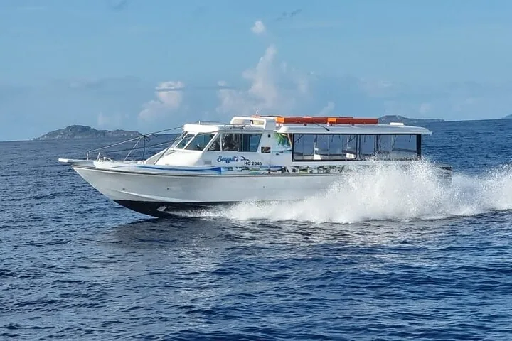 Praslin-La Digue Day Trip from Mahe Island Seychelles