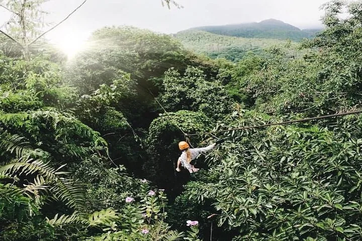 Mahe Island: Zip Lining and Marine Park Snorkeling Excursion